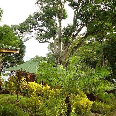 Cabinas La Parcela Villa Dominical Eksteriør billede