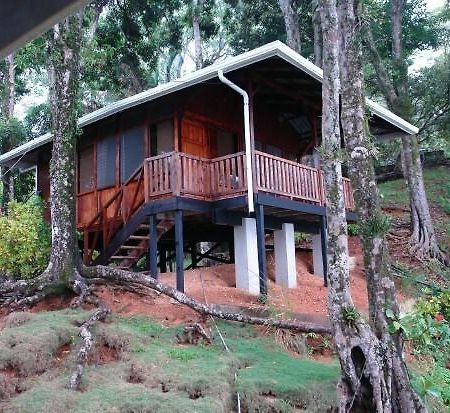 Cabinas La Parcela Villa Dominical Eksteriør billede