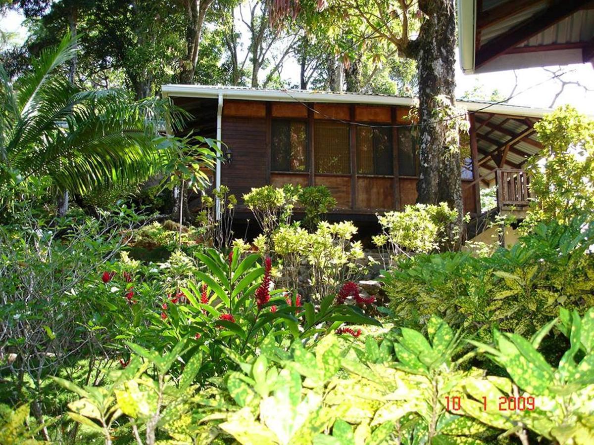 Cabinas La Parcela Villa Dominical Eksteriør billede